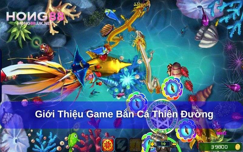 Giới thiệu game bắn cá Thiên Đường hấp dẫn Giới thiệu game bắn cá Thiên Đường hấp dẫn