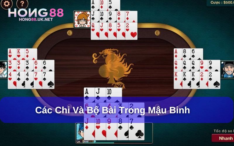 Các chi và bộ bài trong Mậu Binh
