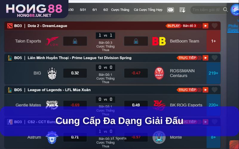 Cung cấp đa dạng giải đấu Cung cấp đa dạng giải đấu