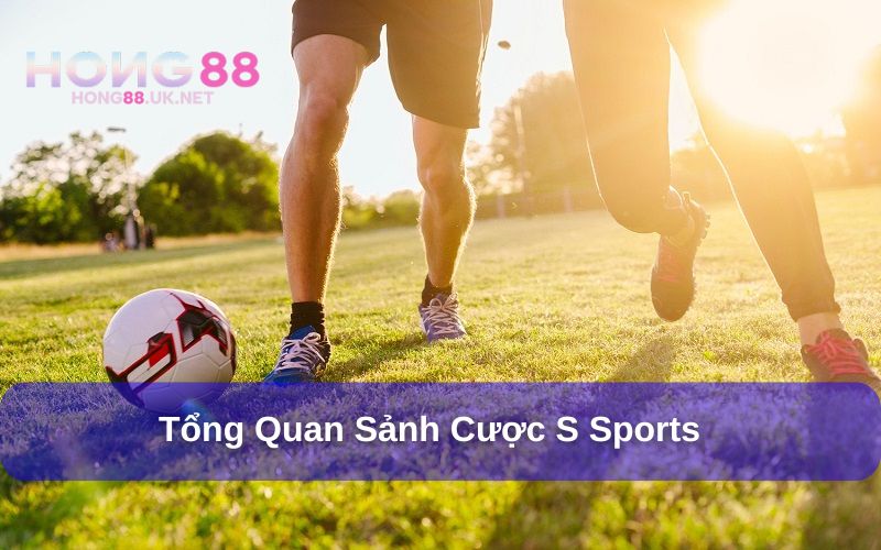 S Sports - Sảnh Cược Thể Thao Đình Đám, Trả Thưởng Cực Khủng 1 S Sports - Sảnh Cược Thể Thao Đình Đám, Trả Thưởng Cực Khủng