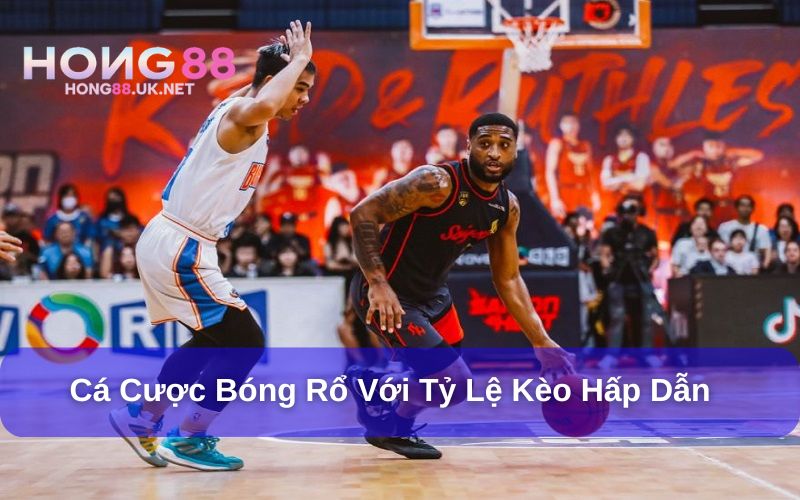 Cược bóng rổ nhiều kèo cược, trả thưởng nhanh Cược bóng rổ nhiều kèo cược, trả thưởng nhanh