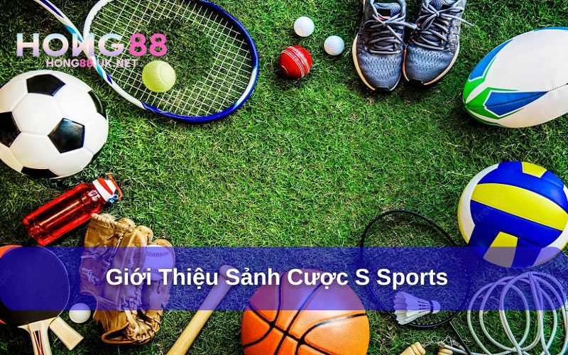 S Sports là sảnh cược thể thao chất lượng hàng đầu S Sports là sảnh cược thể thao chất lượng hàng đầu