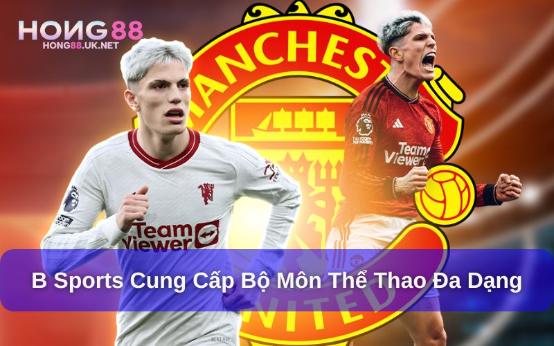 Bộ môn thể thao đa dạng cung cấp bởi B Sports Bộ môn thể thao đa dạng cung cấp bởi B Sports