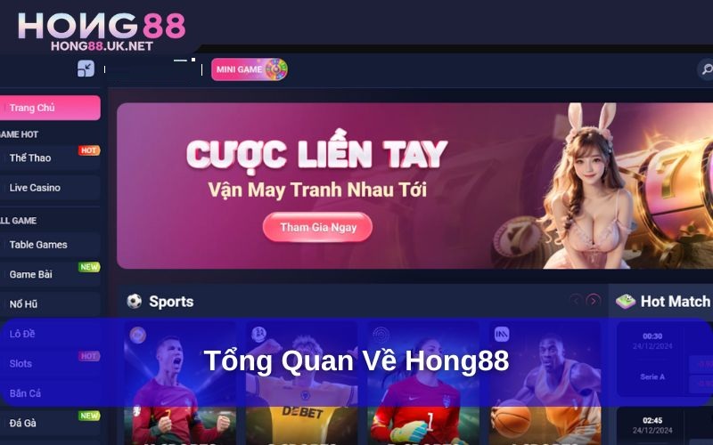 Tổng quan về hong88 Tổng quan về hong88