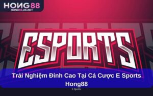 Trải nghiệm đỉnh cao tại Cá cược E Sports hong88