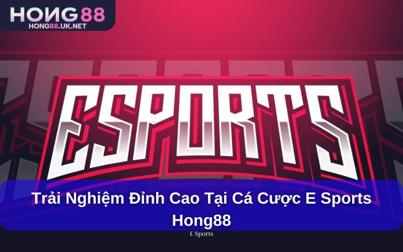 Trải nghiệm đỉnh cao tại Cá cược E Sports hong88 1 Trải nghiệm đỉnh cao tại Cá cược E Sports hong88