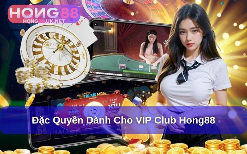 VIP Club Hong88 - Đặc Quyền Thăng Hạng, Thưởng Siêu Khủng 3 Đặc quyền dành cho các hội viên tại VIP Club Hong88