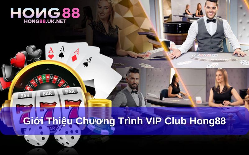 VIP Club Hong88 - Đặc Quyền Thăng Hạng, Thưởng Siêu Khủng 1 Giới thiệu chương trình VIP Club Hong88