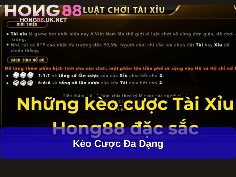 Kèo cược đa dạng