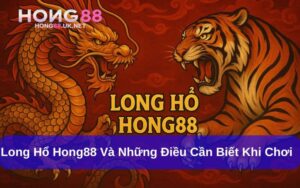 Long Hổ Hong88 Và Những Điều Cần Biết Khi Chơi Game Bài