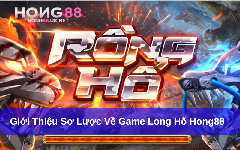 Long Hổ Hong88 Và Những Điều Cần Biết Khi Chơi Game Bài 2 Long hổ Hong88 uy tín và minh bạch