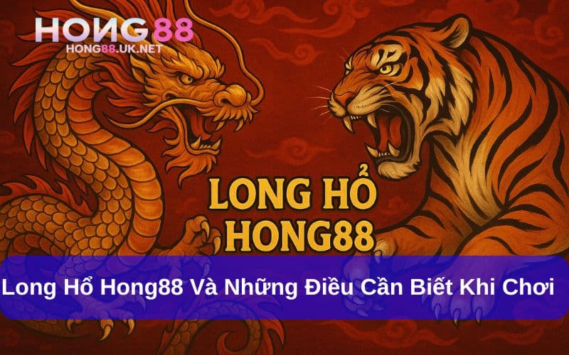 Long Hổ Hong88 Và Những Điều Cần Biết Khi Chơi Game Bài 1 Long Hổ Hong88 Và Những Điều Cần Biết Khi Chơi Game Bài