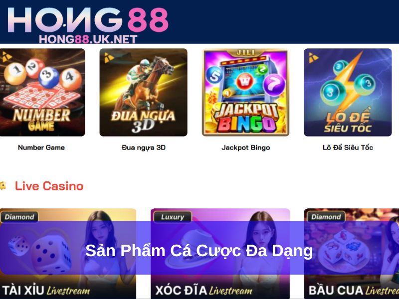 Giới Thiệu Hong88 – Nhà Cái Uy Tín, Đa Dạng Cá Cược Online 2 Sản phẩm cá cược đa dạng