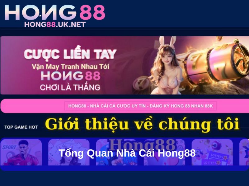 Giới Thiệu Hong88 – Nhà Cái Uy Tín, Đa Dạng Cá Cược Online 1 Tổng quan nhà cái Hong88