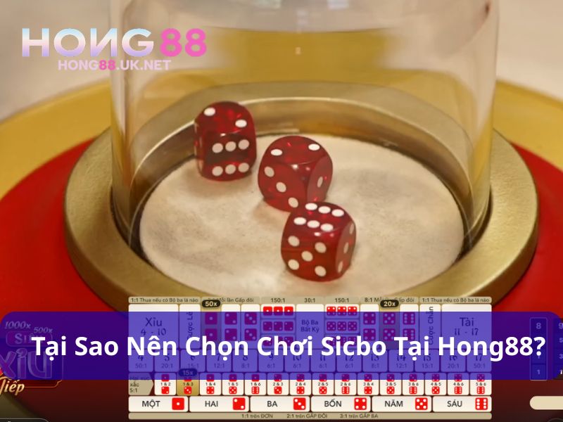 Sicbo Hong88 - Game Tài Xỉu Lắc Xí Ngầu Ăn Lớn 3 Sicbo Hong88 có tỷ lệ thưởng cao